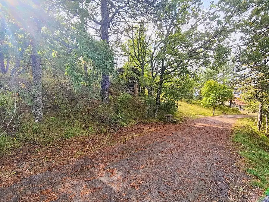 Immagine 4 di Terreno agricolo in vendita  in via del Corniolo a Poppi