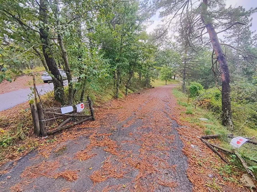 Immagine 5 di Terreno agricolo in vendita  in via del Corniolo a Poppi