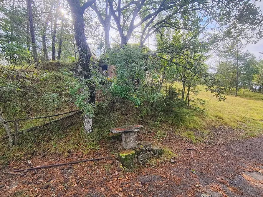 Immagine 6 di Terreno agricolo in vendita  in via del Corniolo a Poppi