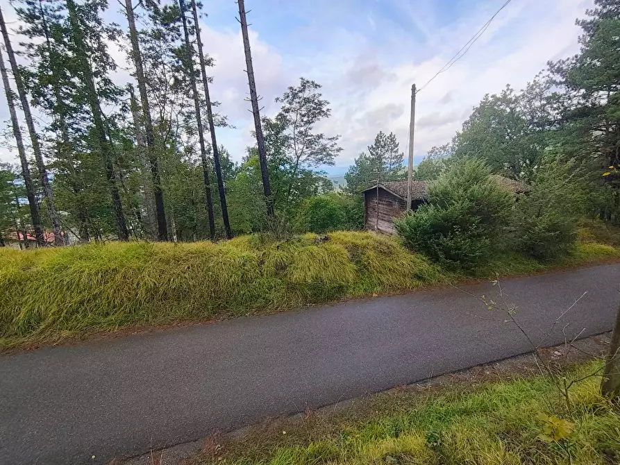 Immagine 7 di Terreno agricolo in vendita  in via del Corniolo a Poppi