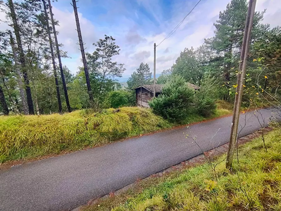 Immagine 8 di Terreno agricolo in vendita  in via del Corniolo a Poppi