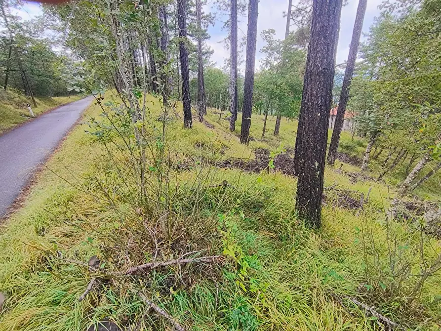 Immagine 9 di Terreno agricolo in vendita  in via del Corniolo a Poppi