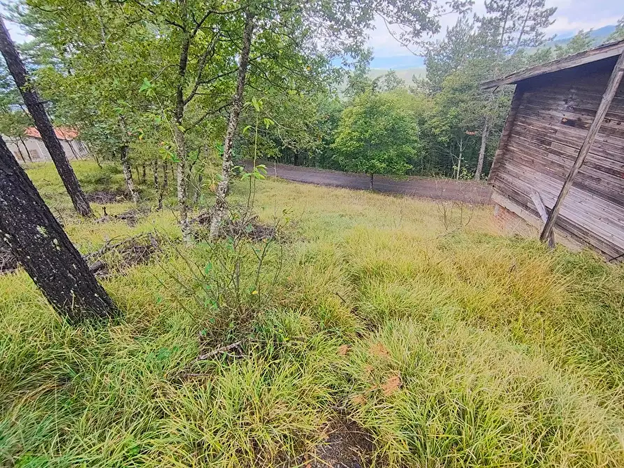 Immagine 10 di Terreno agricolo in vendita  in via del Corniolo a Poppi
