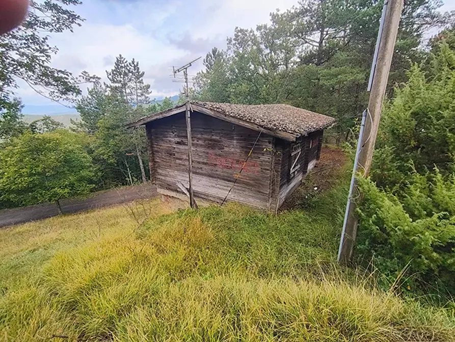 Immagine 11 di Terreno agricolo in vendita  in via del Corniolo a Poppi