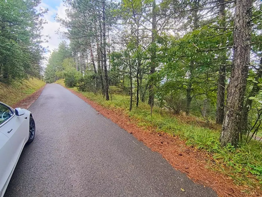 Immagine 12 di Terreno agricolo in vendita  in via del Corniolo a Poppi