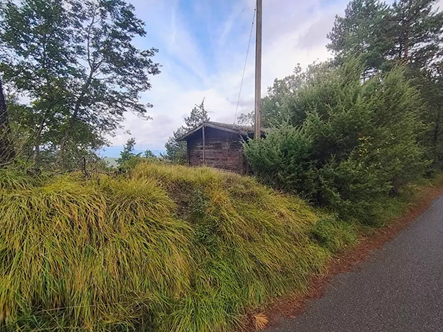 Immagine 13 di Terreno agricolo in vendita  in via del Corniolo a Poppi