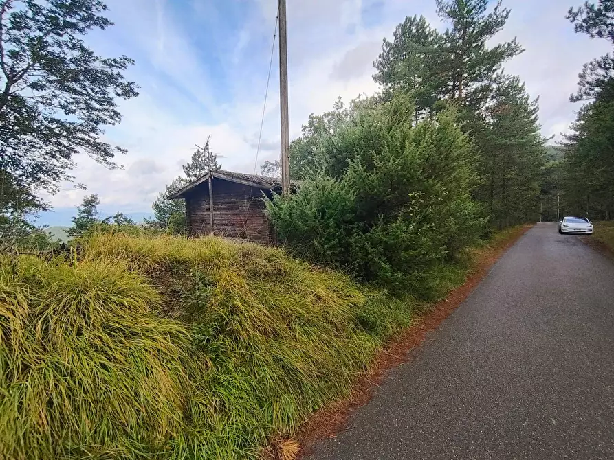 Immagine 14 di Terreno agricolo in vendita  in via del Corniolo a Poppi