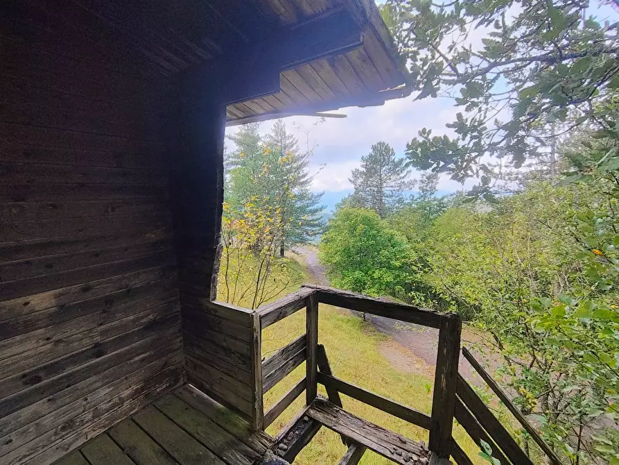 Immagine 15 di Terreno agricolo in vendita  in via del Corniolo a Poppi