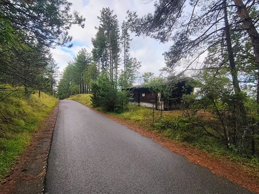 Immagine 16 di Terreno agricolo in vendita  in via del Corniolo a Poppi