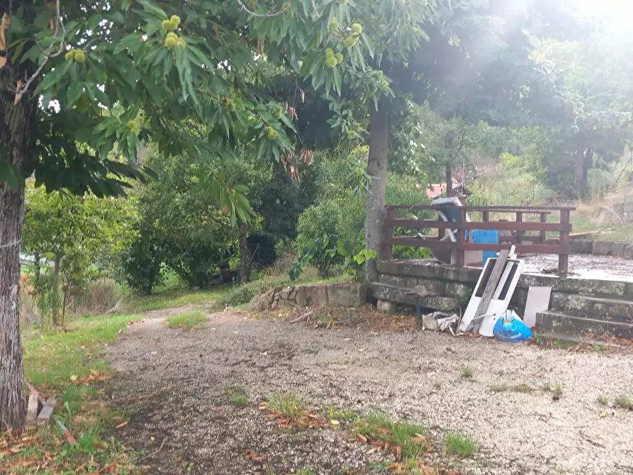 Immagine 5 di Rustico / casale in vendita  in via di Cinano a Castel Focognano