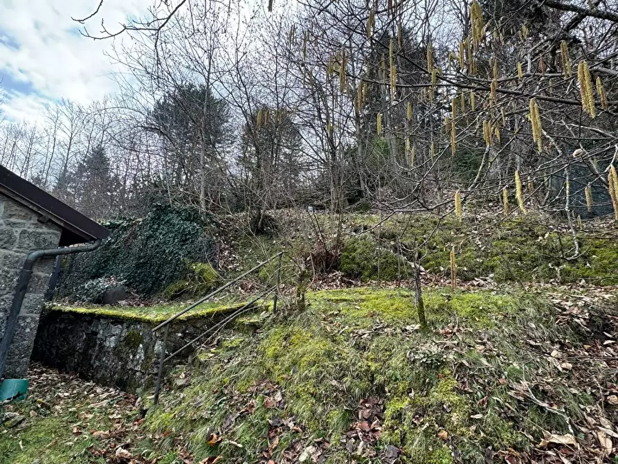 Immagine 19 di Casa indipendente in vendita  in LOC. FORCANASSO a Montemignaio