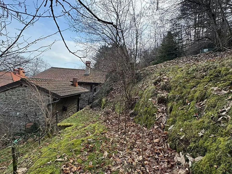Immagine 20 di Casa indipendente in vendita  in LOC. FORCANASSO a Montemignaio