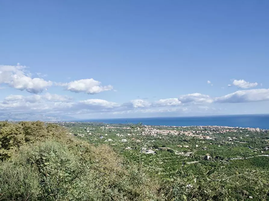 Immagine 8 di Terreno industriale in vendita  in strada statale 114 a Acireale