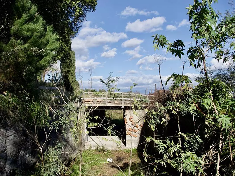 Immagine 11 di Terreno industriale in vendita  in strada statale 114 a Acireale