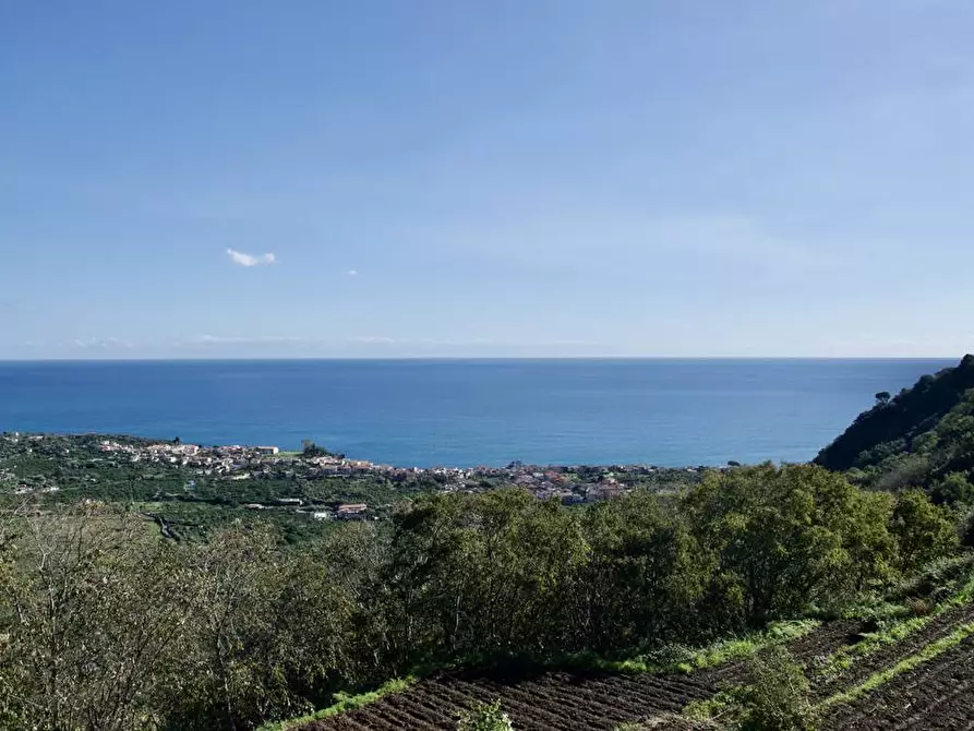 Immagine 19 di Terreno industriale in vendita  in strada statale 114 a Acireale