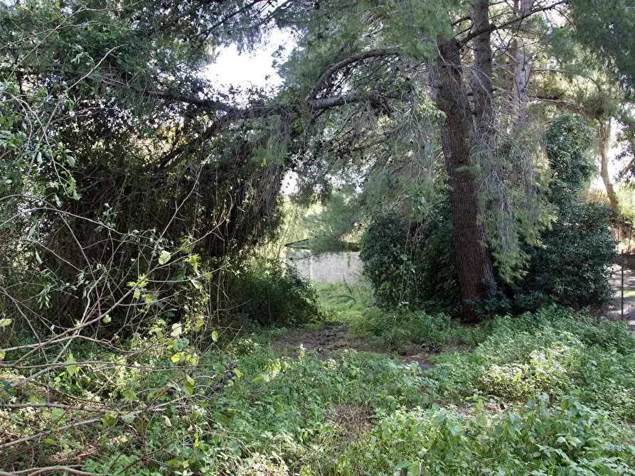 Immagine 23 di Terreno industriale in vendita  in strada statale 114 a Acireale