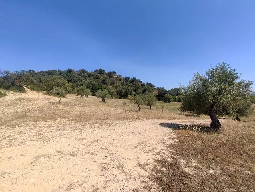 Immagine 1 di Terreno residenziale in vendita  in strada provinciale 51 a Noto