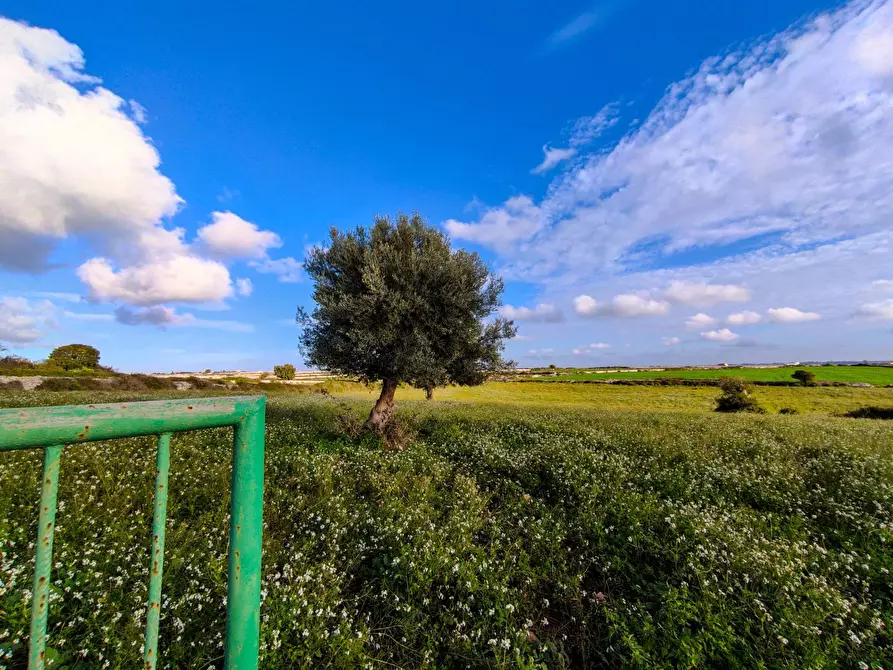 Immagine 24 di Rustico / casale in vendita  in Strada provinciale 14 a Ragusa