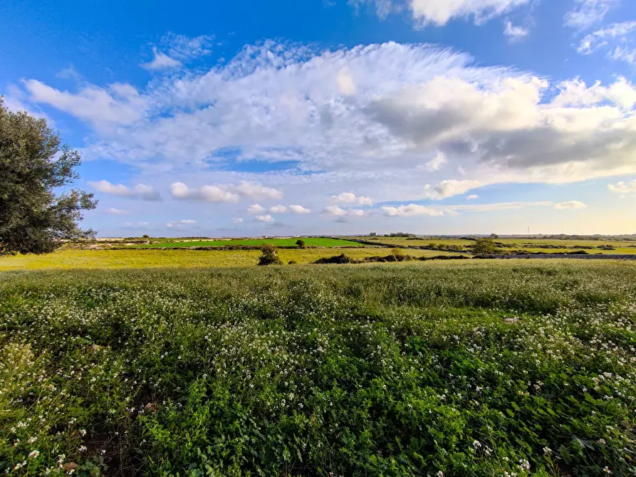 Immagine 26 di Rustico / casale in vendita  in Strada provinciale 14 a Ragusa