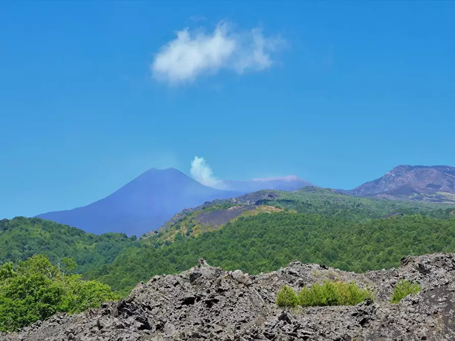Immagine 2 di Terreno agricolo in vendita  in ss120 a Linguaglossa