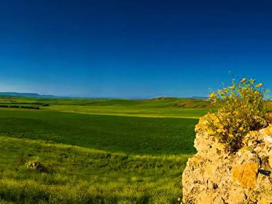 Immagine 4 di Rustico / casale in vendita  in contrada ursitto a Niscemi