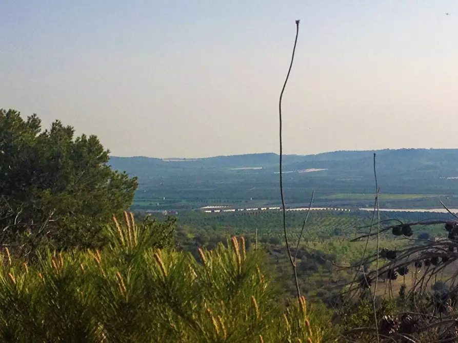 Immagine 22 di Rustico / casale in vendita  in Strada Statale 115 a Noto