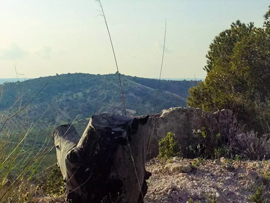 Immagine 23 di Rustico / casale in vendita  in Strada Statale 115 a Noto