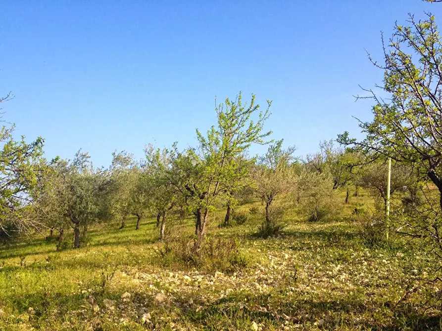 Immagine 11 di Rustico / casale in vendita  in Strada Statale 115 a Noto
