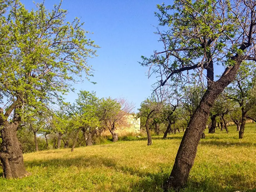 Immagine 13 di Rustico / casale in vendita  in Strada Statale 115 a Noto
