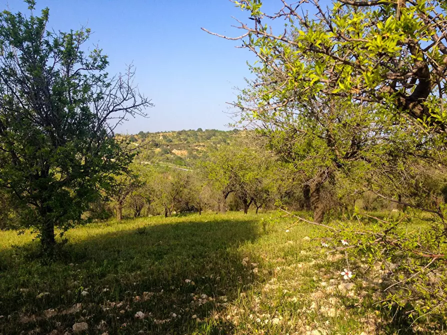 Immagine 14 di Rustico / casale in vendita  in Strada Statale 115 a Noto