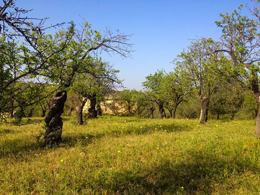 Immagine 5 di Rustico / casale in vendita  in Strada Statale 115 a Noto