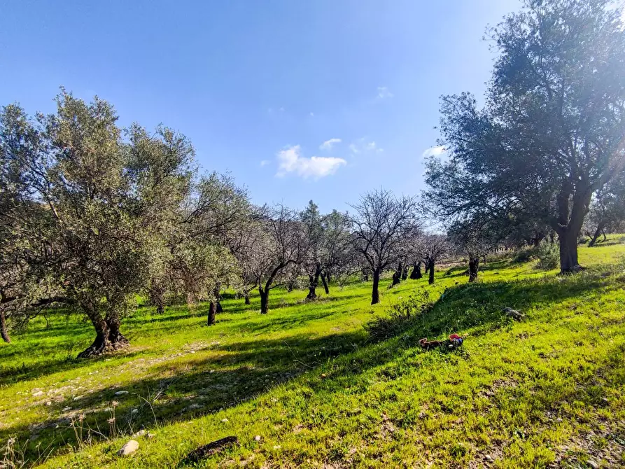 Immagine 15 di Rustico / casale in vendita  in Strada Statale 115 a Noto
