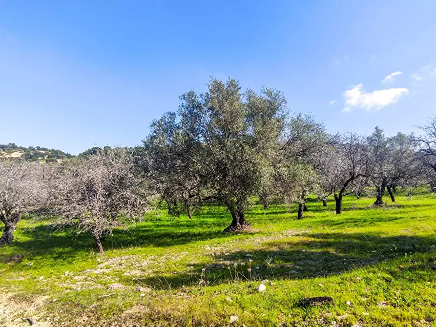 Immagine 16 di Rustico / casale in vendita  in Strada Statale 115 a Noto
