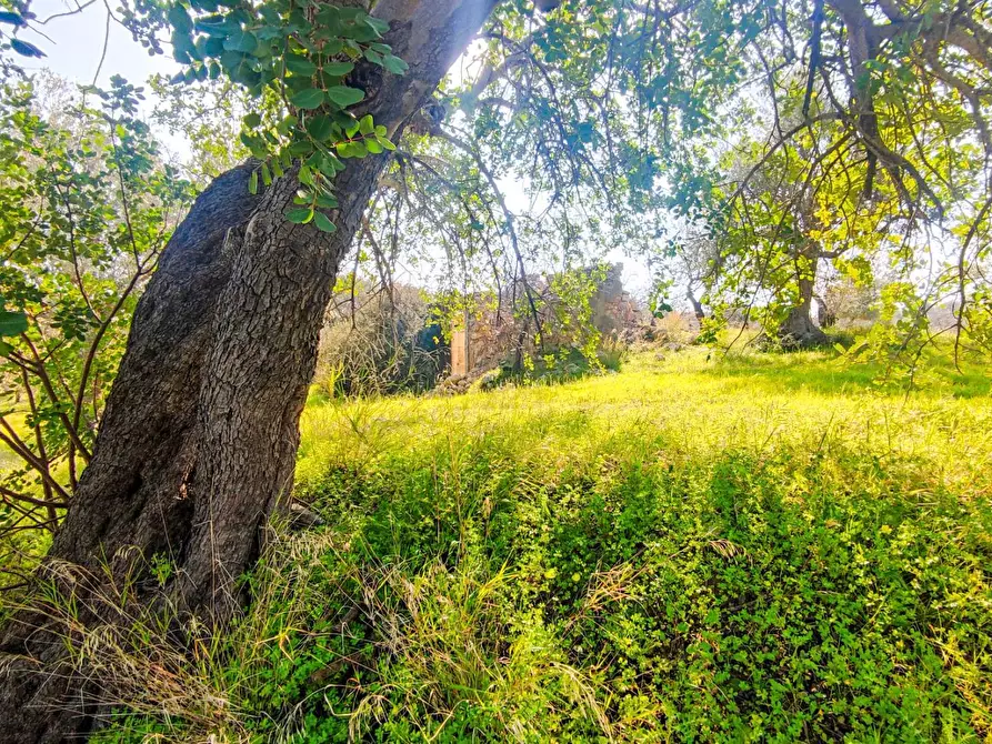 Immagine 18 di Rustico / casale in vendita  in Strada Statale 115 a Noto