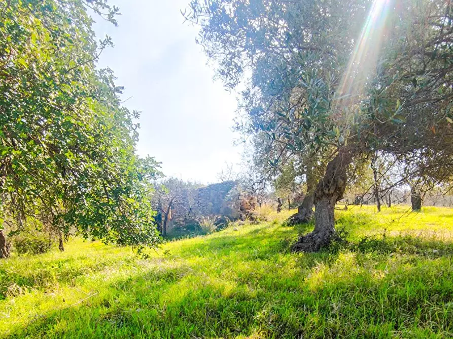 Immagine 19 di Rustico / casale in vendita  in Strada Statale 115 a Noto
