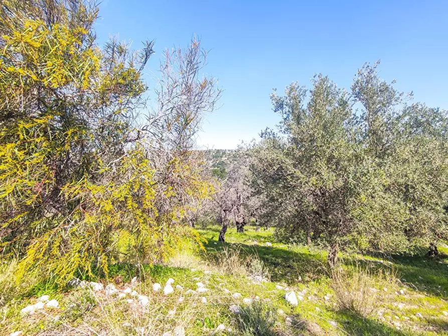 Immagine 20 di Rustico / casale in vendita  in Strada Statale 115 a Noto