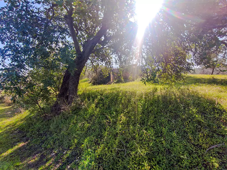 Immagine 21 di Rustico / casale in vendita  in Strada Statale 115 a Noto