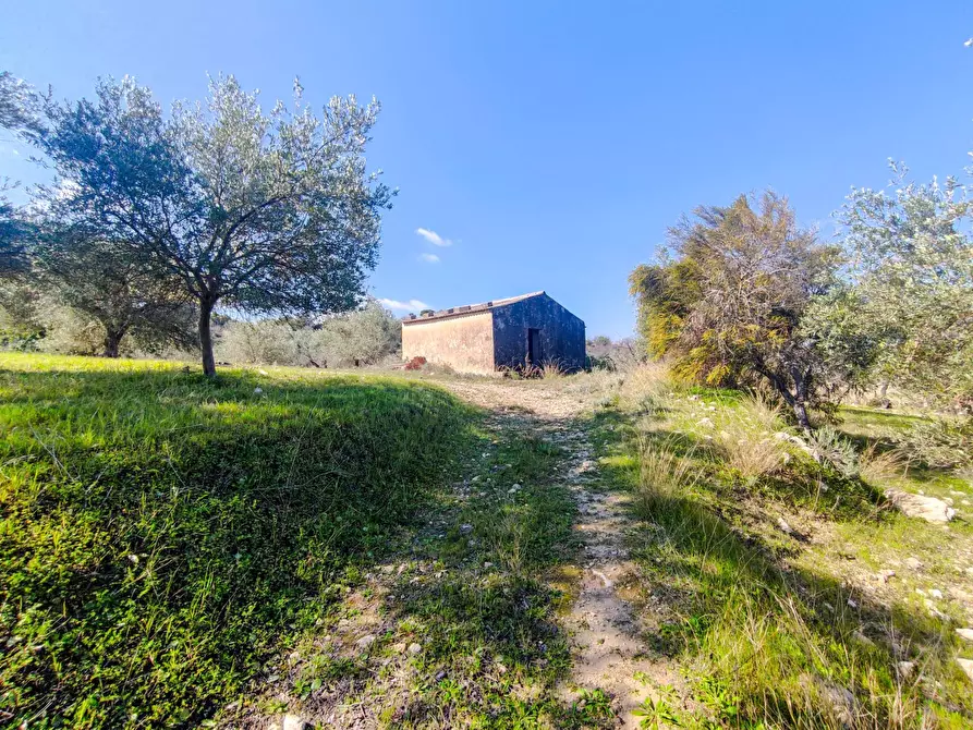 Immagine 1 di Rustico / casale in vendita  in Strada Statale 115 a Noto