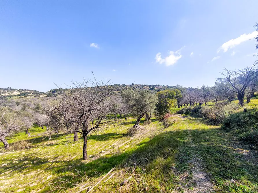Immagine 10 di Rustico / casale in vendita  in Strada Statale 115 a Noto