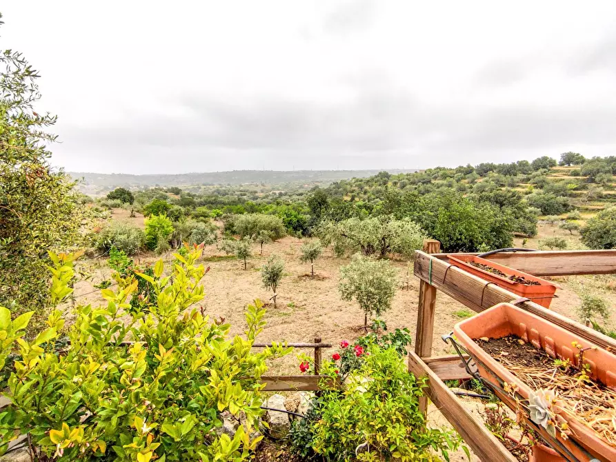 Immagine 30 di Villa in vendita  in Via villa Barco a Modica