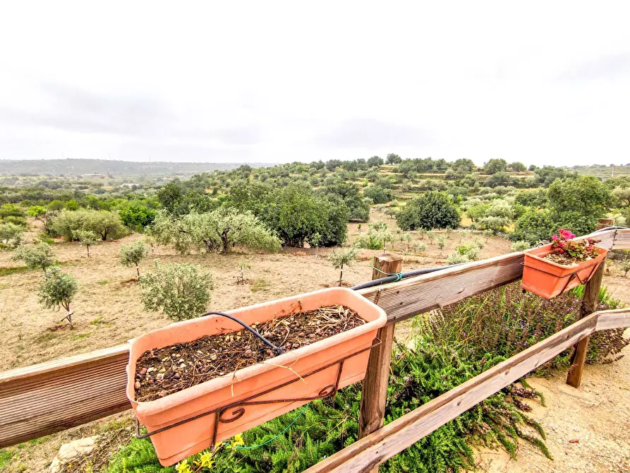 Immagine 29 di Villa in vendita  in Via villa Barco a Modica