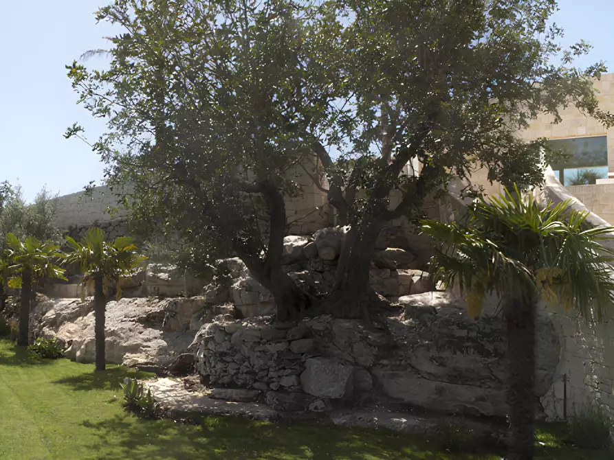 Immagine 9 di Villa in vendita  in ragusa ibla a Ragusa