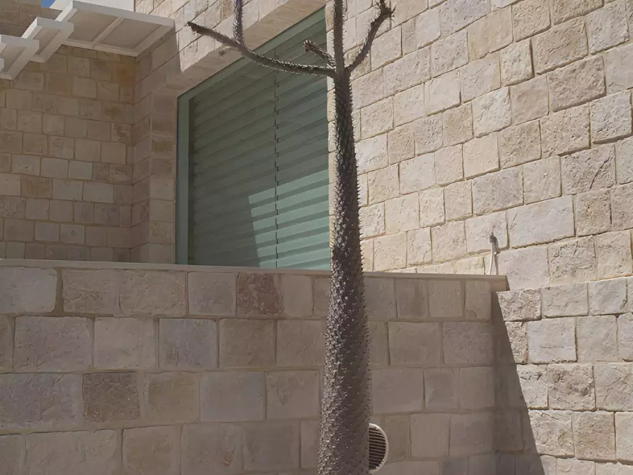 Immagine 18 di Villa in vendita  in ragusa ibla a Ragusa