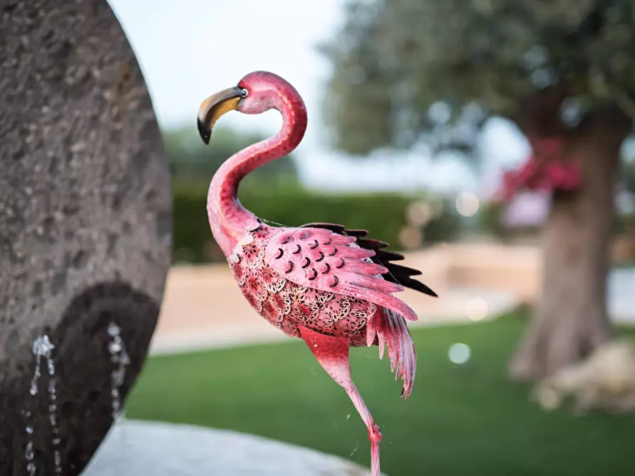 Immagine 25 di Villa in affitto  in contrada cancaleo a Ispica