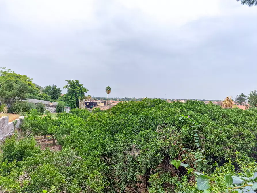 Immagine 25 di Villa in vendita  in Viscalori a Viagrande