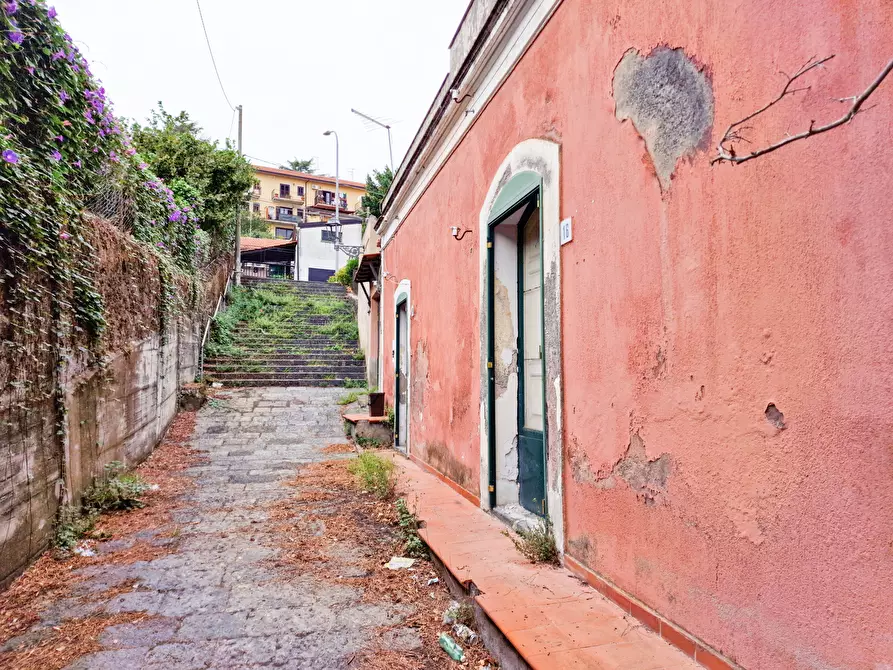 Immagine 26 di Villa in vendita  in Viscalori a Viagrande