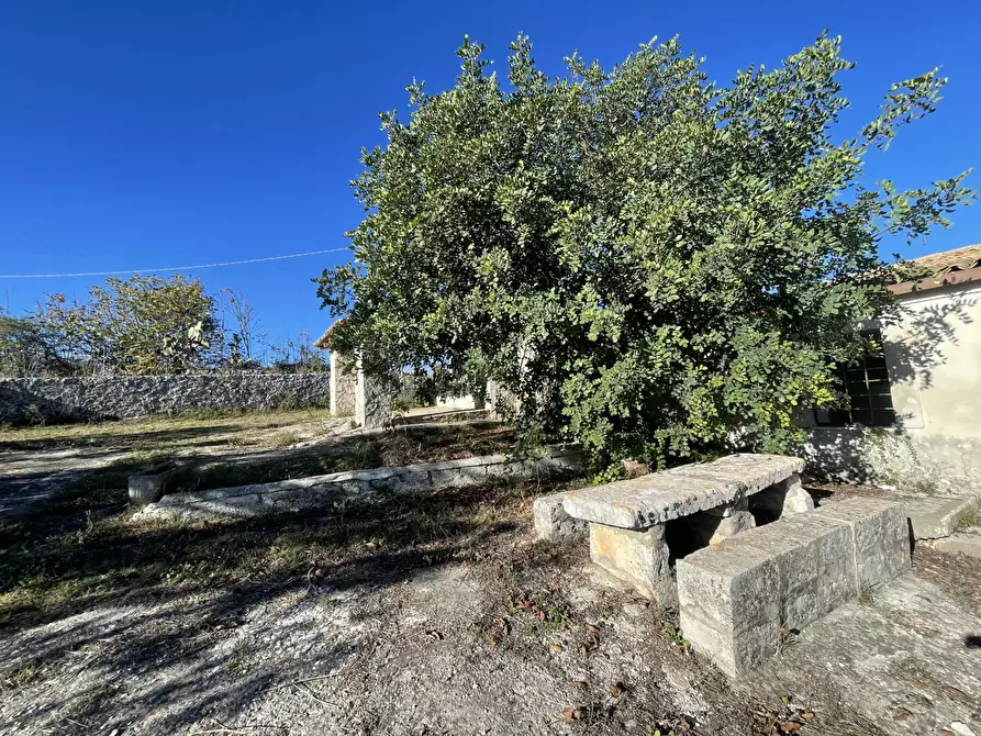 Immagine 1 di Rustico / casale in vendita  in sp 287 a Noto