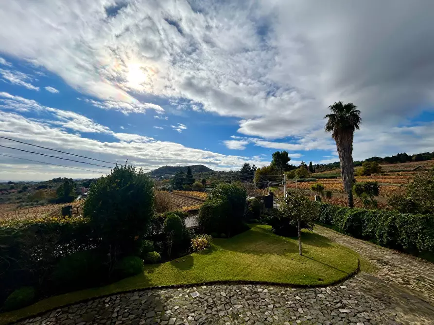 Immagine 18 di Villa in vendita  in via giuseppe garibaldi a Viagrande