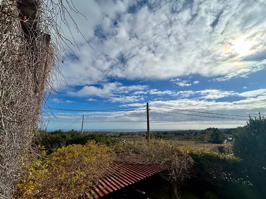 Immagine 20 di Villa in vendita  in via giuseppe garibaldi a Viagrande