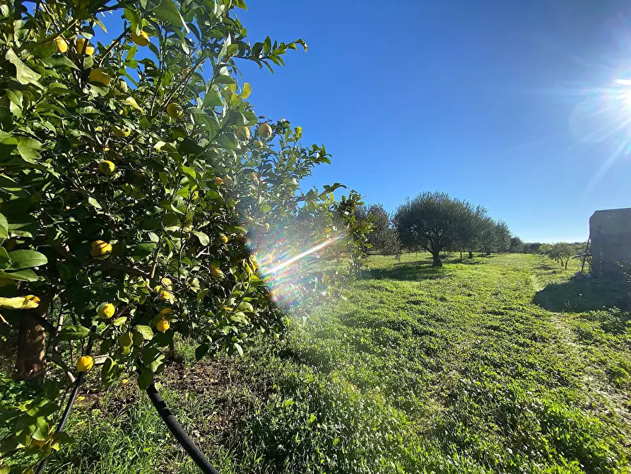 Immagine 1 di Villa in vendita  in bommiscuro a Noto